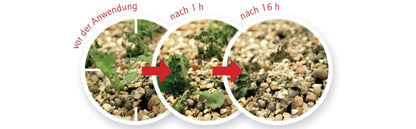 Roundup Weed Free Express (5 liters): Refill canister, ready-mixed