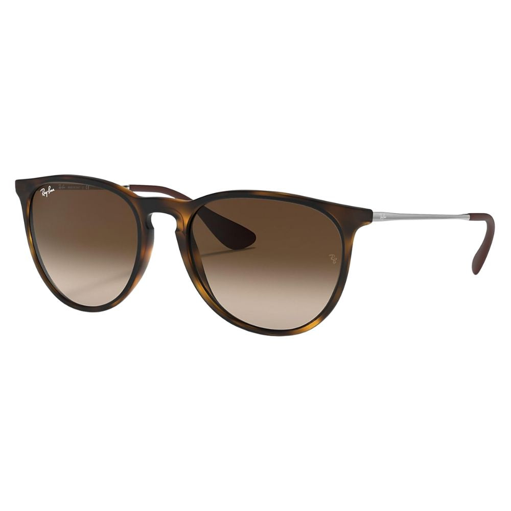 Ray Ban 'RB4171' Erika Panto-Classic Sunglasses Set for Women including Case